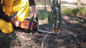 Lawn Grading and Leveling in Burien, WA